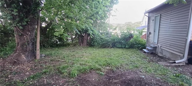 3318 E 24th St, Kansas City, MO 64127 - view of yard featuring entry steps