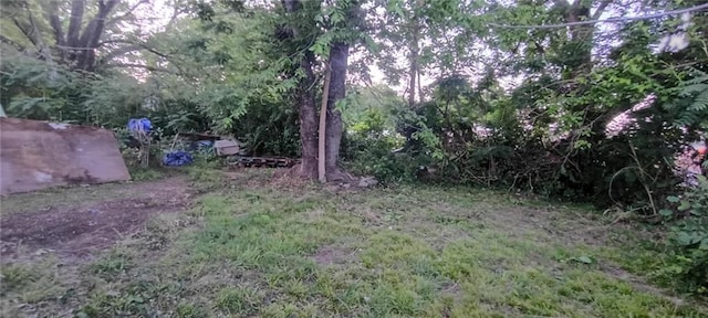 3318 E 24th St, Kansas City, MO 64127 - view of yard