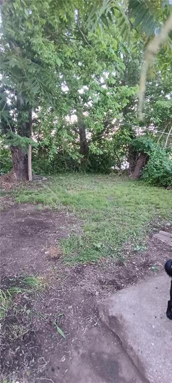 3318 E 24th St, Kansas City, MO 64127 - view of yard