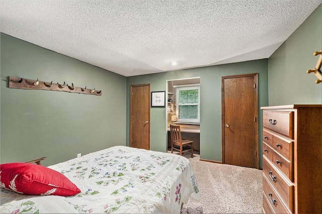 63 Maple Dr, Platte City, MO 64079 - bedroom featuring two closets, carpet flooring, and a textured ceiling