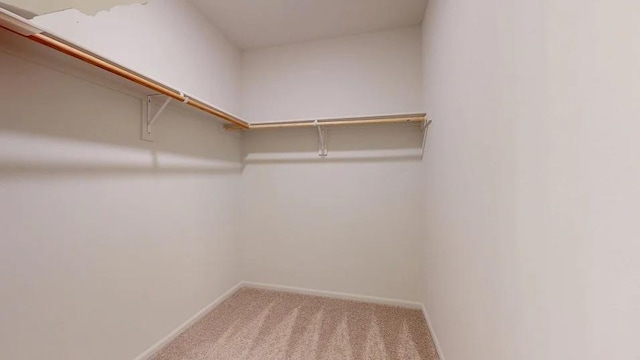 551 W Lanesfield St, Gardner, KS 66030 - walk in closet featuring carpet floors
