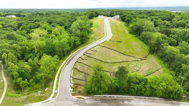 809 Highland Dr, Edwardsville, KS 66111 - bird's eye view of a heavily wooded area