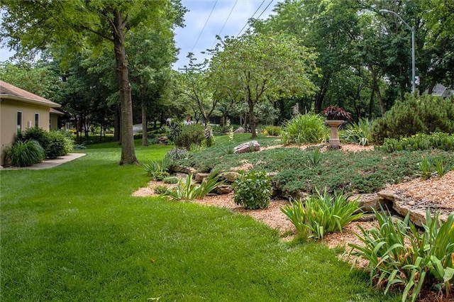 13738 Lookout Dr, Kansas City, MO 64139 - photo 5