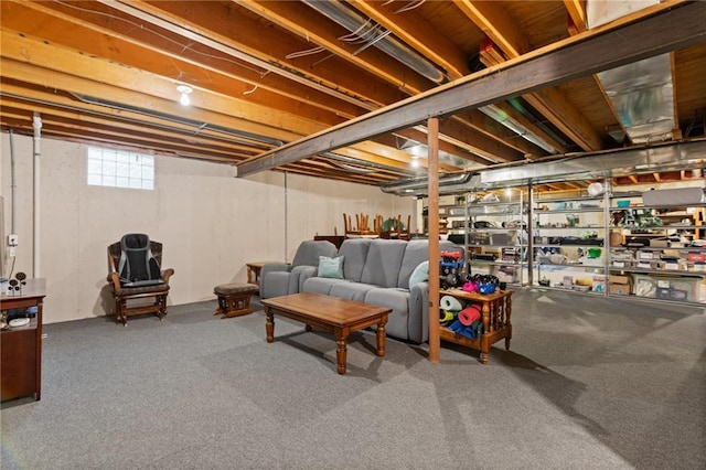 12484 S Hallet St, Olathe, KS 66062 - basement with carpet