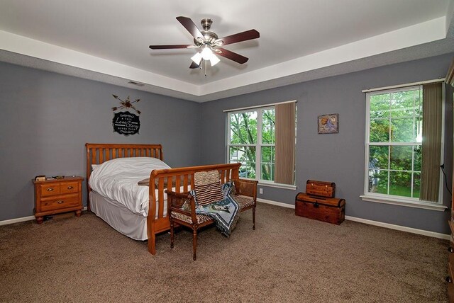 4737 Lone Elm St, Shawnee, KS 66226 - bedroom with multiple windows, baseboards, a raised ceiling, and carpet floors