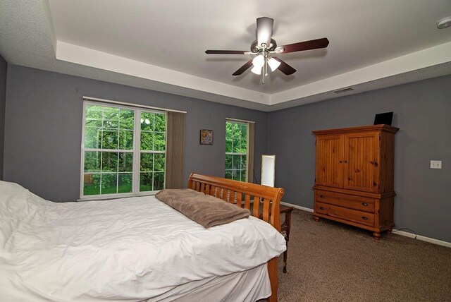 4737 Lone Elm St, Shawnee, KS 66226 - bedroom with a raised ceiling, carpet floors, baseboards, and ceiling fan