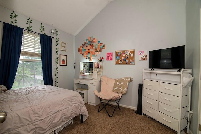 4737 Lone Elm St, Shawnee, KS 66226 - bedroom with lofted ceiling and carpet flooring