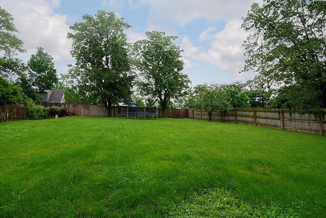 4737 Lone Elm St, Shawnee, KS 66226 - view of yard featuring a trampoline