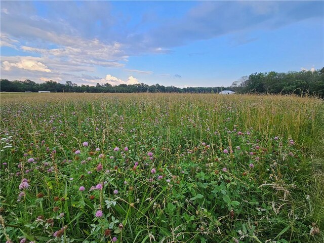 39000 E 215th Rd, Kingsville, MO 64061 - photo 54