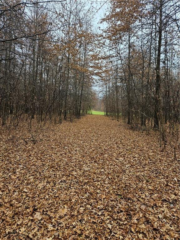39000 E 215th Rd, Kingsville, MO 64061 - photo 60
