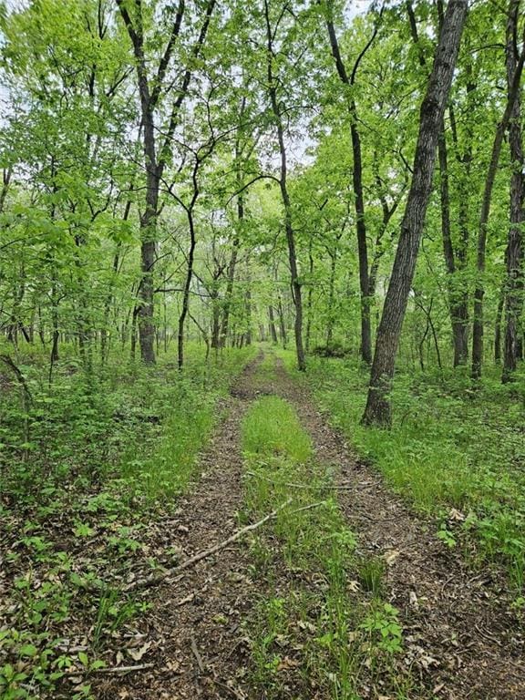 39000 E 215th Rd, Kingsville, MO 64061 - photo 69