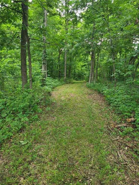 39000 E 215th Rd, Kingsville, MO 64061 - photo 71