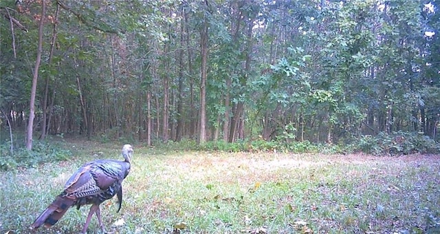 39000 E 215th Rd, Kingsville, MO 64061 - photo 75