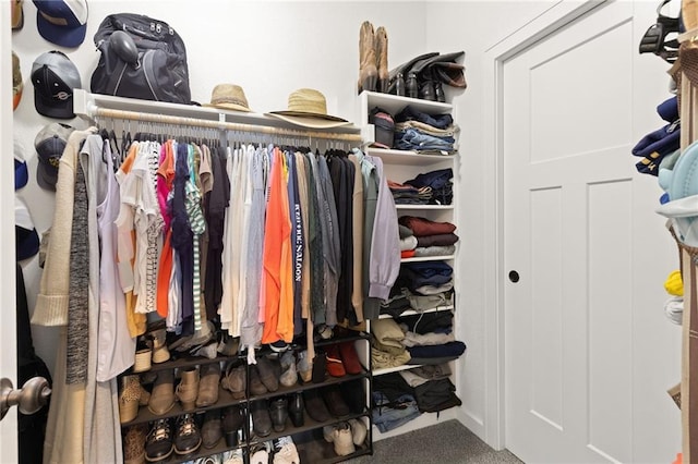 481 Olive Ct, Warrensburg, MO 64093 - spacious closet featuring carpet