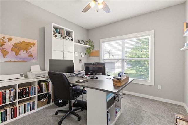481 Olive Ct, Warrensburg, MO 64093 - carpeted office featuring ceiling fan and baseboards