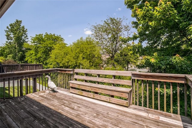1919 Prairie Grass Dr, Raymore, MO 64083 - photo 32