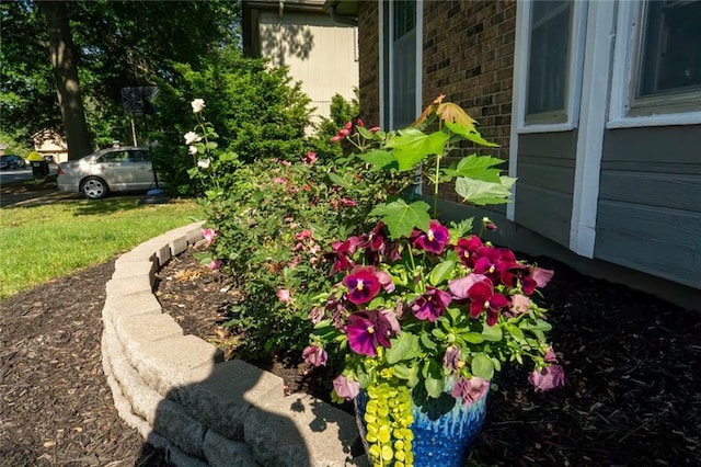 1504 SW 9th St, Lees Summit, MO 64081 - view of yard