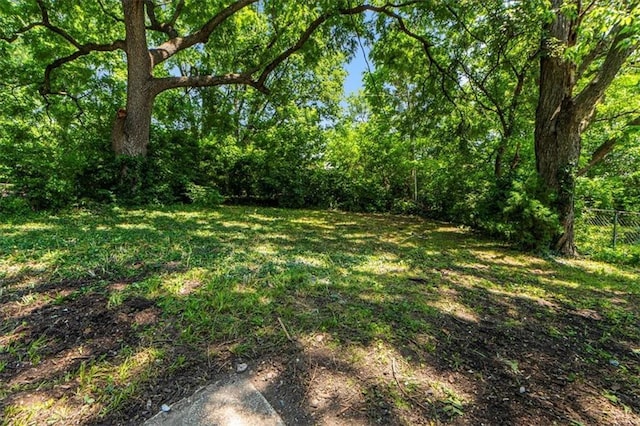 1115 S Leslie St, Independence, MO 64050 - view of yard