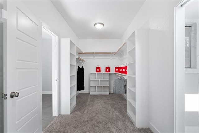 19433 W 114th Ter, Olathe, KS 66061 - walk in closet with carpet flooring