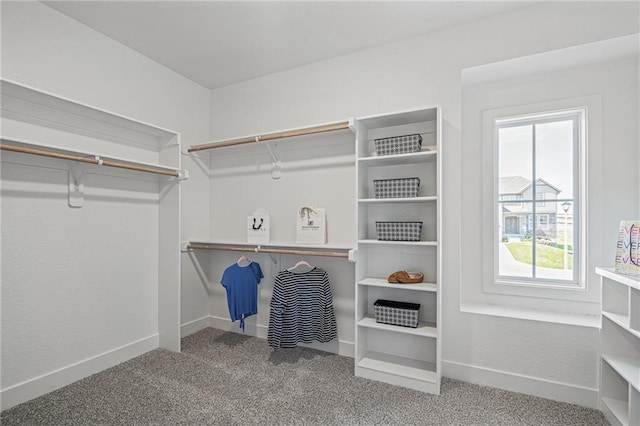 19477 W 114th Ter, Olathe, KS 66061 - walk in closet with carpet floors