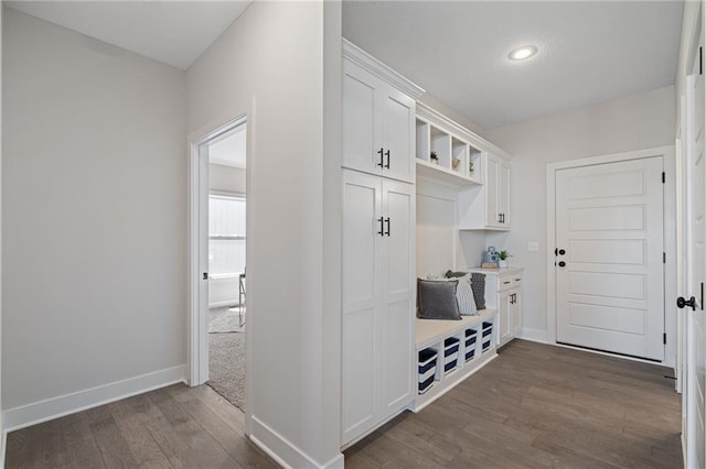 19477 W 114th Ter, Olathe, KS 66061 - mudroom featuring dark wood finished floors and recessed lighting