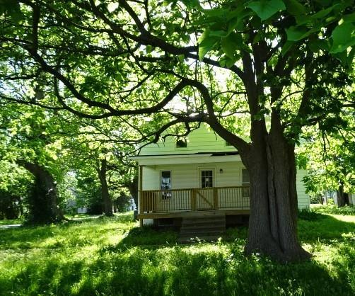 126 Locust St, Wellsville, KS 66092 - view of front of home