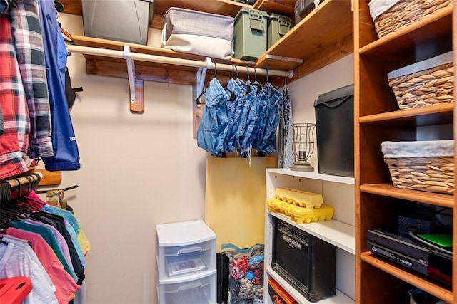601 W 3rd Ter, Wellsville, KS 66092 - view of walk in closet
