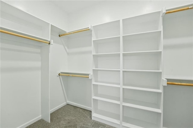801 Highland Dr, Edwardsville, KS 66111 - spacious closet with carpet flooring