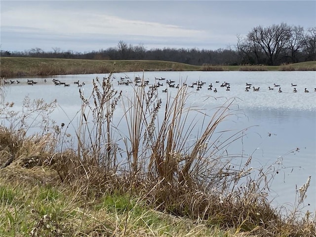9812 Saddletop St, Lenexa, KS 66227 - water view