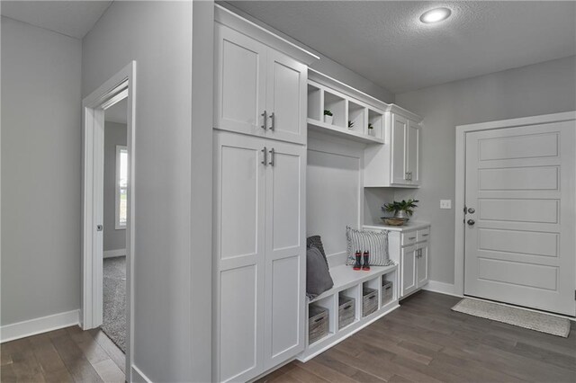 5858 Mccormick Dr, Shawnee, KS 66226 - mudroom with dark wood-style flooring, baseboards, a textured ceiling, and recessed lighting