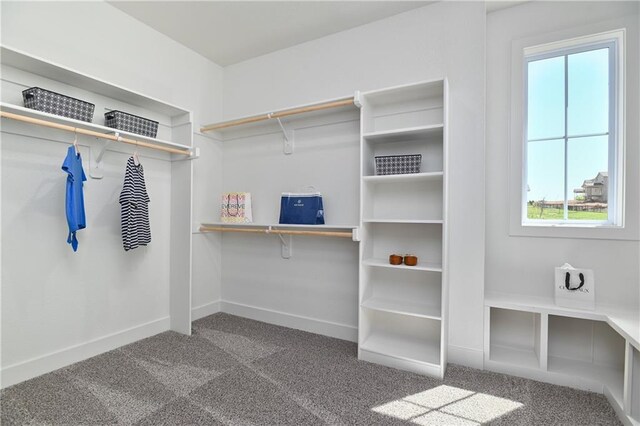 5858 Mccormick Dr, Shawnee, KS 66226 - walk in closet featuring carpet