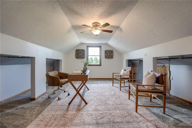 15215 Edgerton Rd, Gardner, KS 66030 - carpeted office space featuring a textured ceiling, a ceiling fan, vaulted ceiling, and baseboards