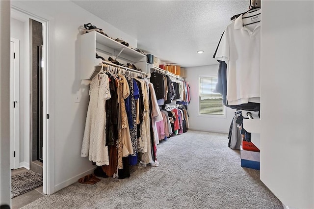 4820 NE 90th Ter, Kansas City, MO 64156 - walk in closet with carpet floors