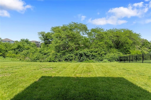4820 NE 90th Ter, Kansas City, MO 64156 - view of yard