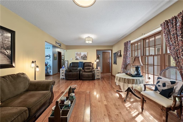 513 Brown Circle Dr, Osawatomie, KS 66064 - living room featuring wood finished floors and a textured ceiling