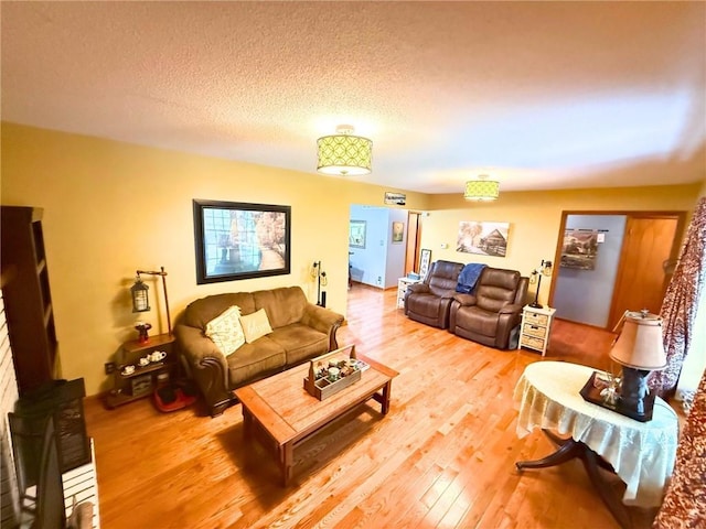 513 Brown Circle Dr, Osawatomie, KS 66064 - living room with light wood-style floors and a textured ceiling