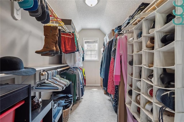 2436 SW Current Ln, Lees Summit, MO 64082 - walk in closet with lofted ceiling and light colored carpet
