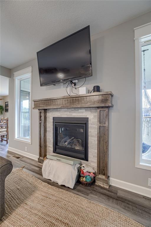 807 N Whispering Hills Dr, Lone Jack, MO 64070 - detailed view of wood finished floors, a glass covered fireplace, and baseboards