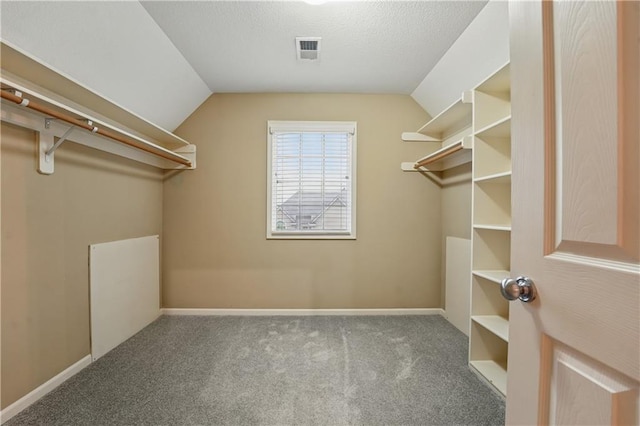 4904 W 162nd St, Overland Park, KS 66085 - walk in closet featuring carpet floors and lofted ceiling