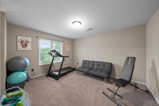 11121 S Whitetail Ln, Olathe, KS 66061 - exercise room featuring carpet flooring and a textured ceiling