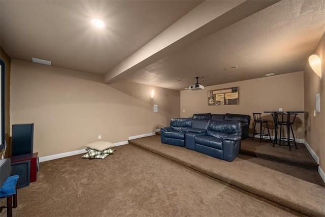 11121 S Whitetail Ln, Olathe, KS 66061 - home theater room with carpet floors and baseboards