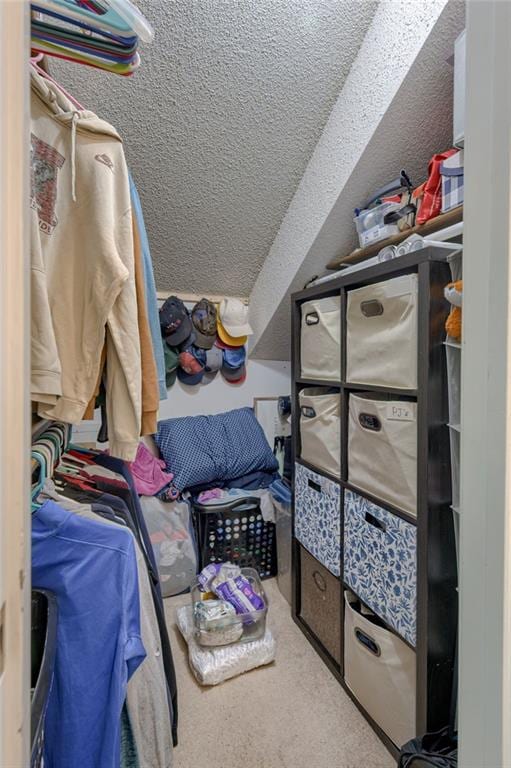 8961 Swarner Dr, Lenexa, KS 66219 - spacious closet featuring carpet flooring
