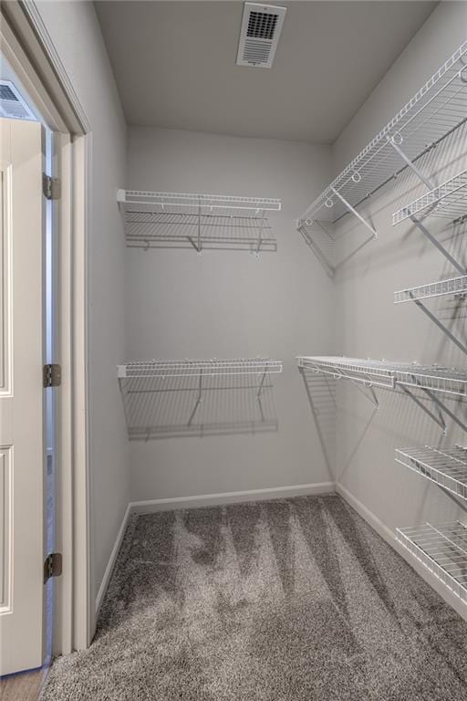 27027 E Oak View Dr, Lees Summit, MO 64086 - spacious closet with carpet flooring