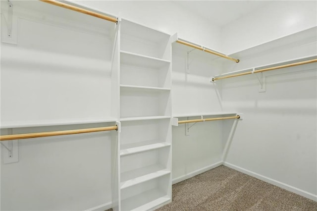 789 Highland Dr, Edwardsville, KS 66111 - walk in closet with carpet floors