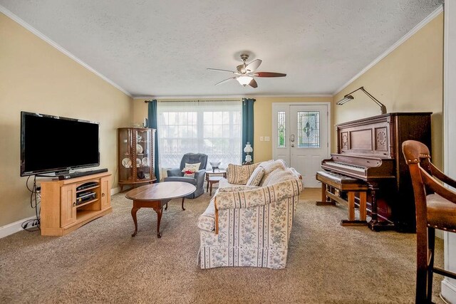 415 E Hulett St, Edgerton, KS 66021 - carpeted living area featuring ceiling fan, a textured ceiling, and crown molding