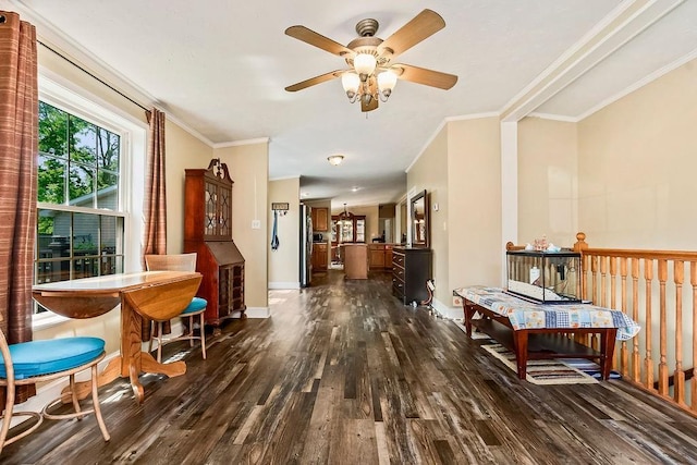 415 E Hulett St, Edgerton, KS 66021 - hallway with dark wood-type flooring, baseboards, and crown molding