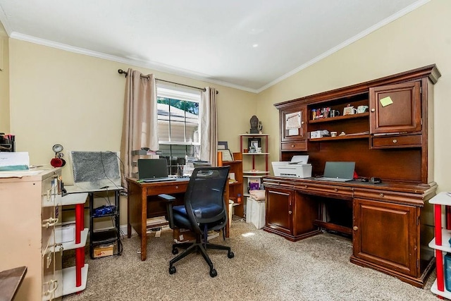 415 E Hulett St, Edgerton, KS 66021 - office with light colored carpet and ornamental molding