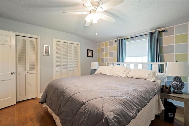 450 Ruth Ewing Rd, Liberty, MO 64068 - bedroom with two closets, wood finished floors, vaulted ceiling, a textured ceiling, and a ceiling fan