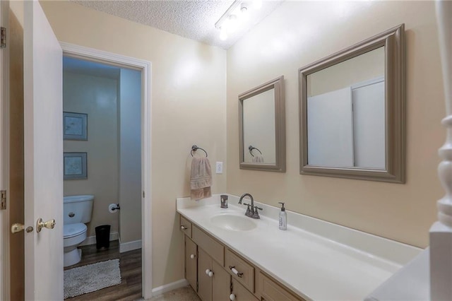 300 S Silver Top Ln, Raymore, MO 64083 - bathroom with vanity, a textured ceiling, and wood finished floors