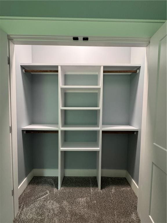 25908 E 317th Ter, Harrisonville, MO 64701 - walk in closet with carpet flooring